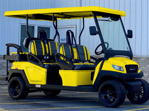 lake worth golf cart repair, golf cart service, mobile repair